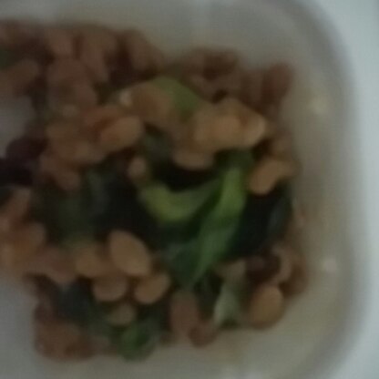 分かりにくい画像ですが、菜の花と納豆とっても美味しくてご飯が進んでしまいました。